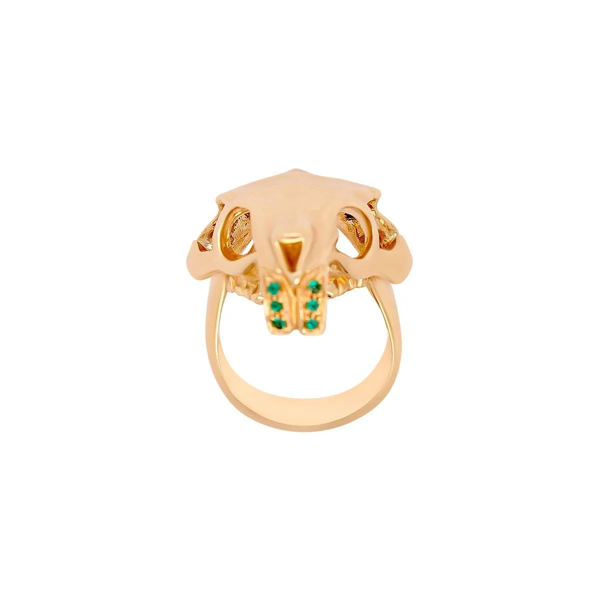 Coypu Skull Ring | 22GMS