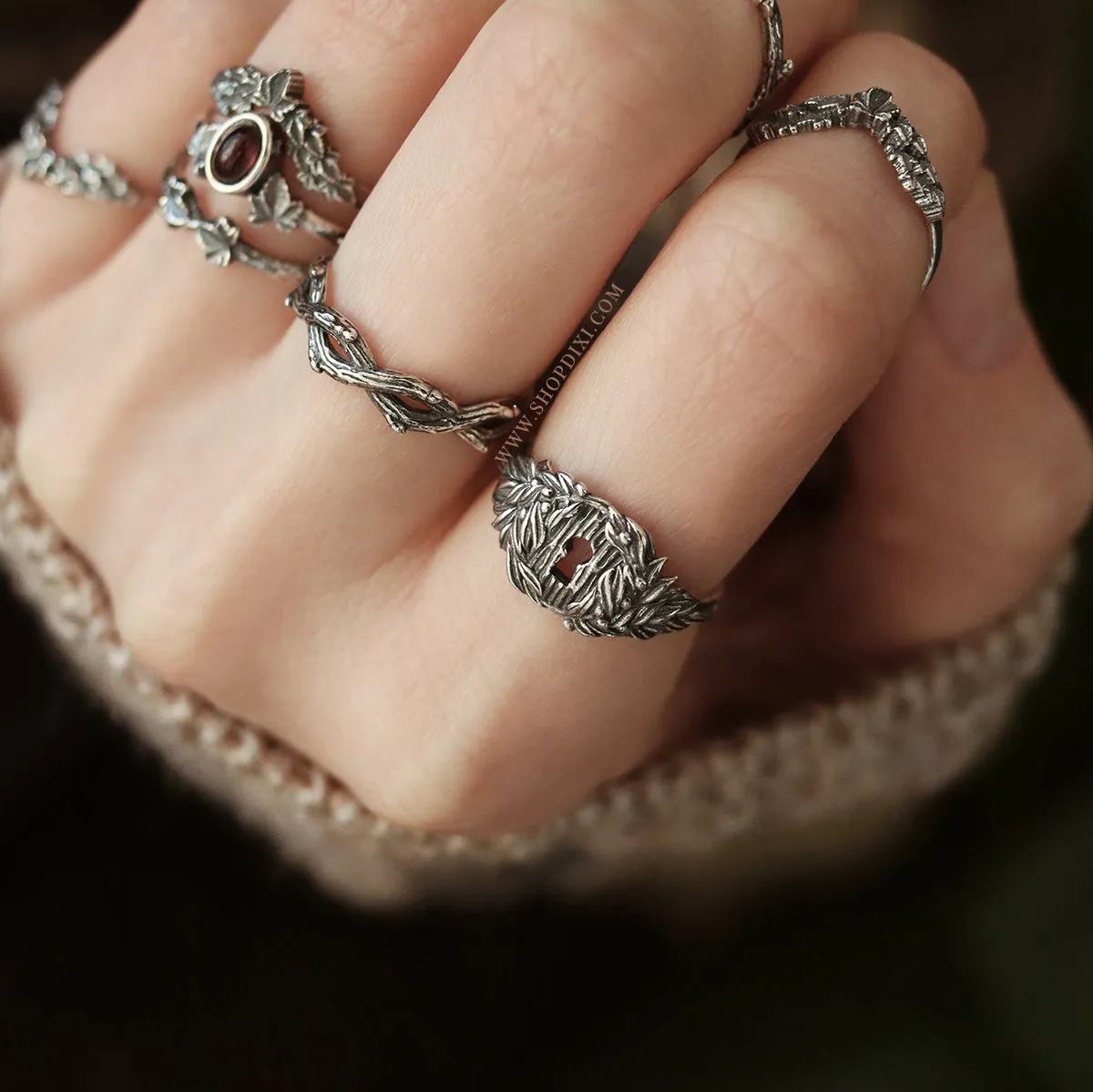 Enchanted Secret Door Ring