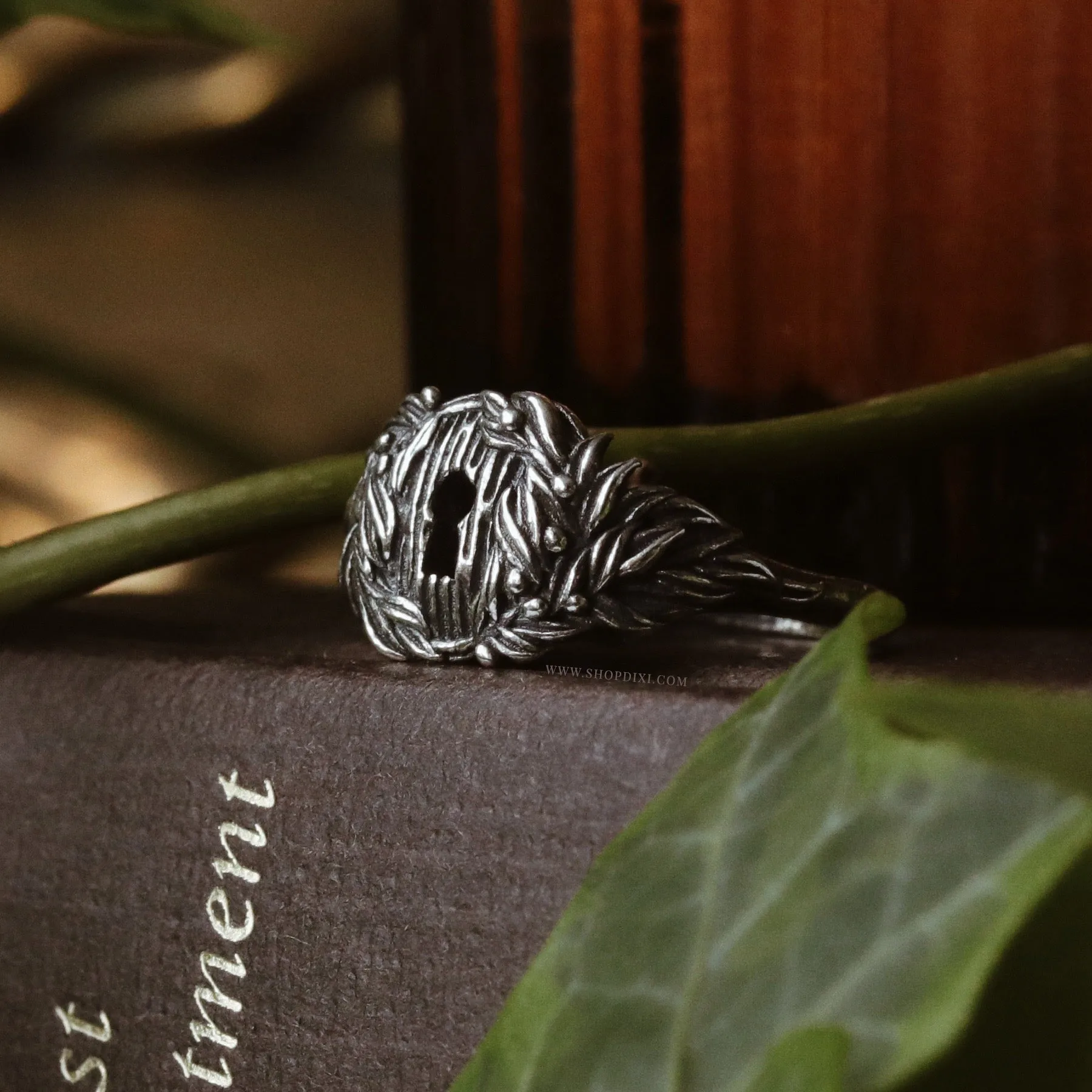 Enchanted Secret Door Ring