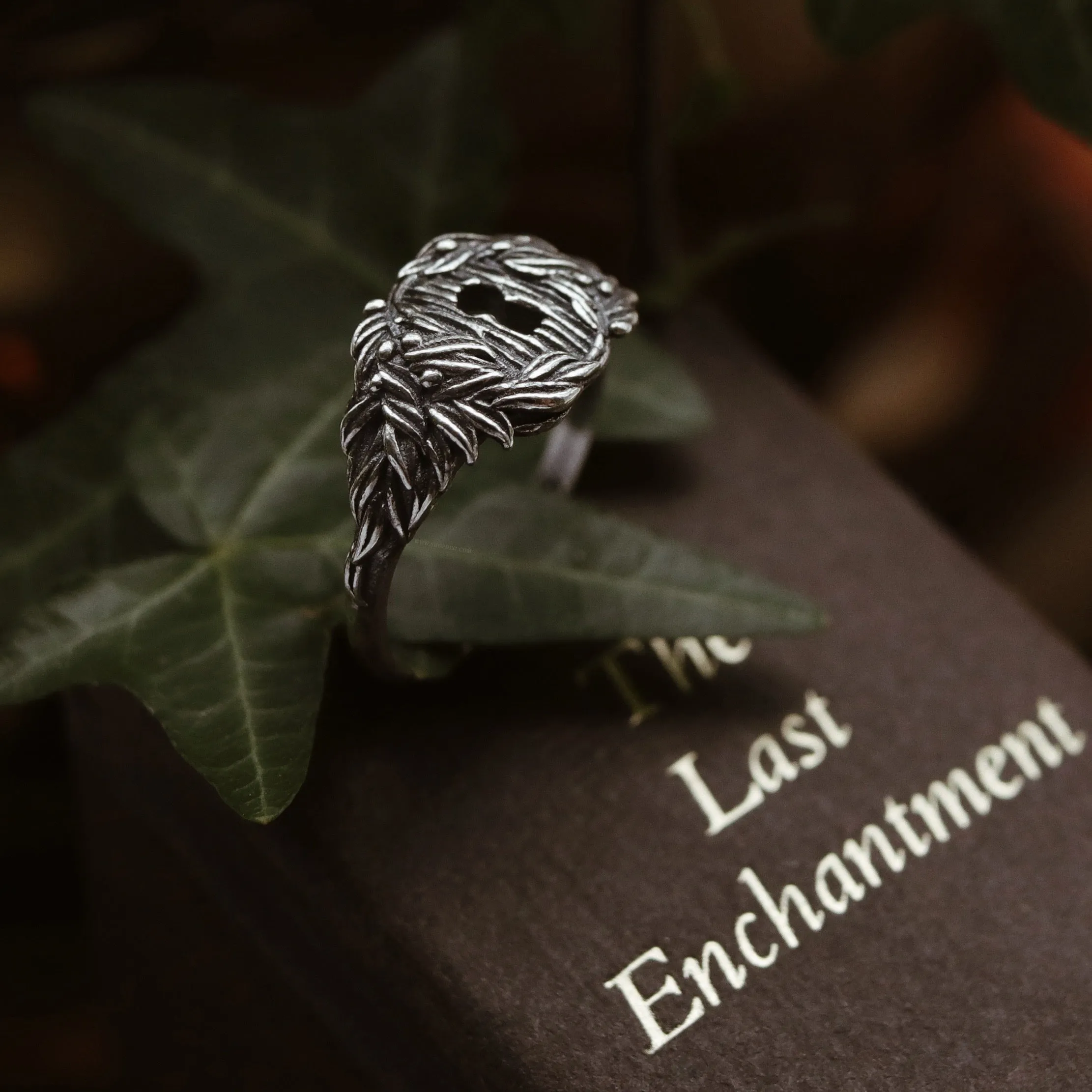 Enchanted Secret Door Ring